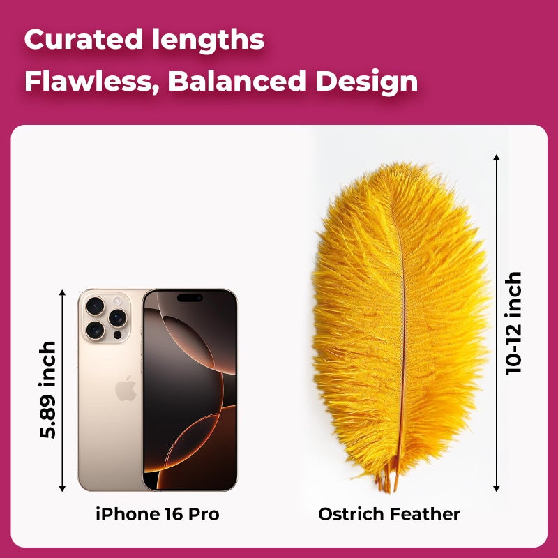 Piokio 20pcs Natural Gold Ostrich Feathers 10-12 inch (25-30cm) Bulk Feathers for Home Decoration and DIY Clothing and DIY Clothes Decoration, Gatsby Decorations - Image 2
